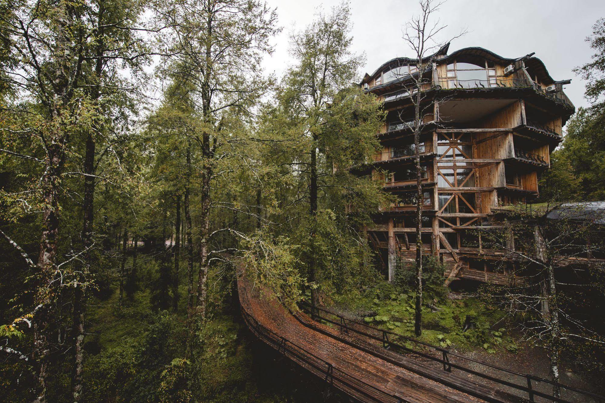 Huilo Huilo Nothofagus Hotel & Spa Puerto Fuy Bagian luar foto