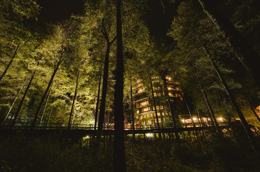 Huilo Huilo Nothofagus Hotel & Spa Puerto Fuy Bagian luar foto